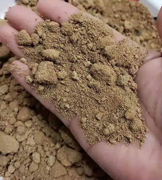 sandy loam