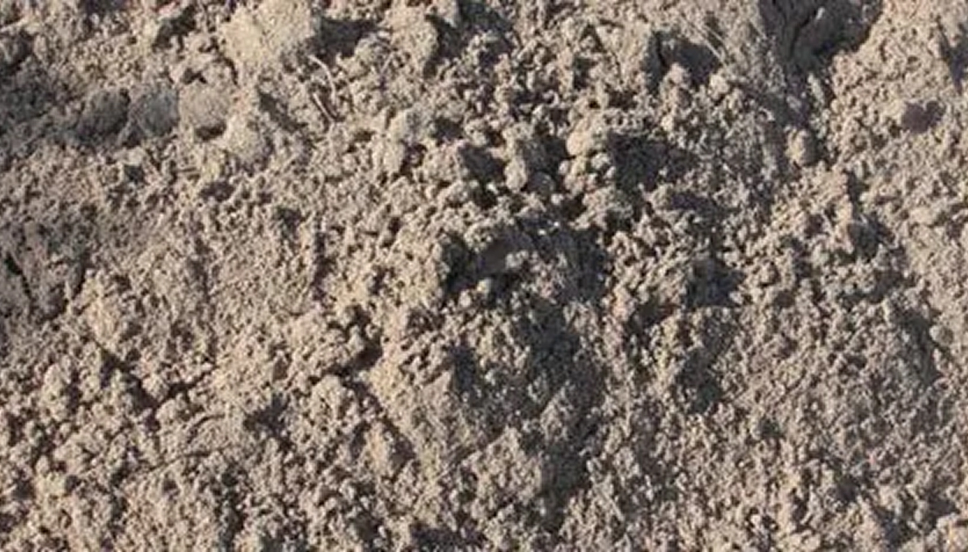 Screened Sandy Loam
