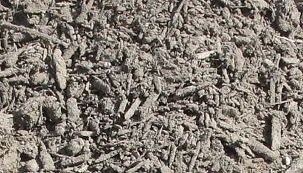 Soil Mix ( 60% COMPOST & 40% SAND )