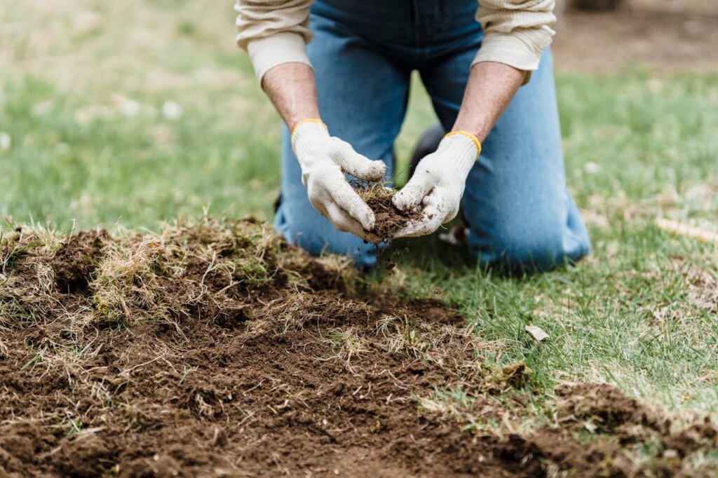 Best Practices for Using Soil in Construction and Landscaping