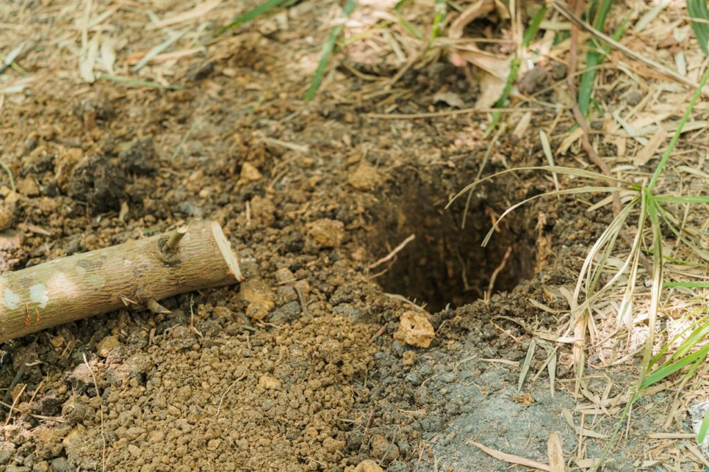 What Kind of Dirt to Fill Holes in Yard