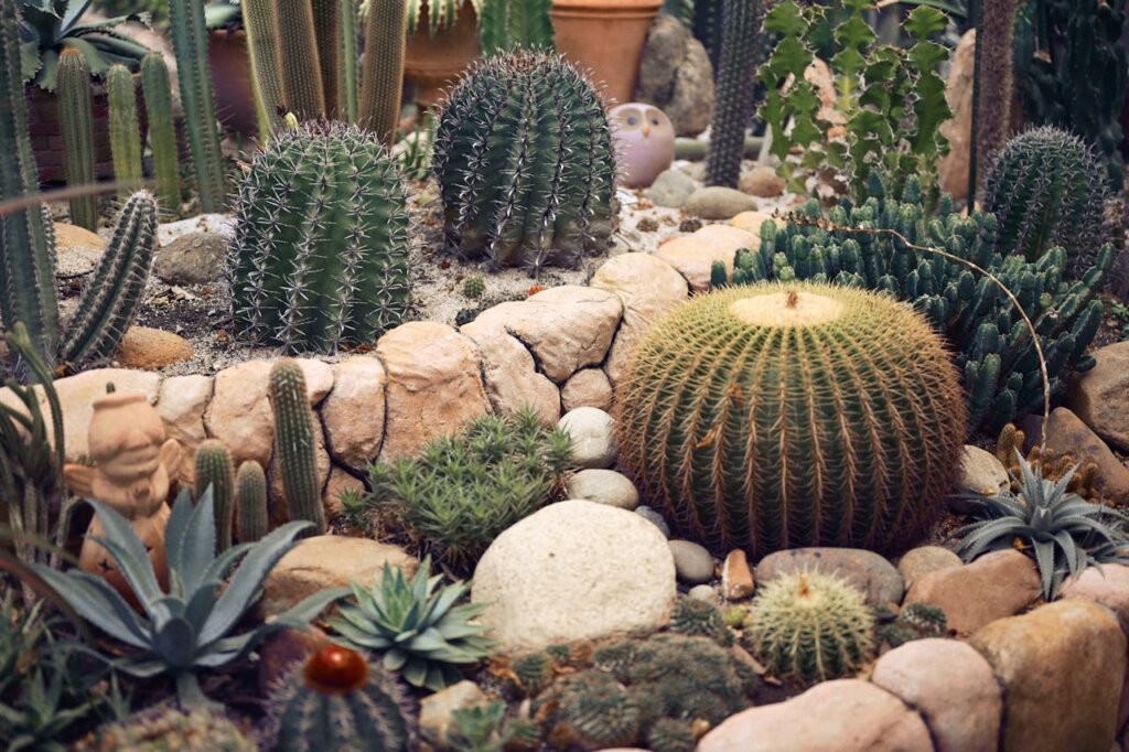 How to Remove Decorative Rock